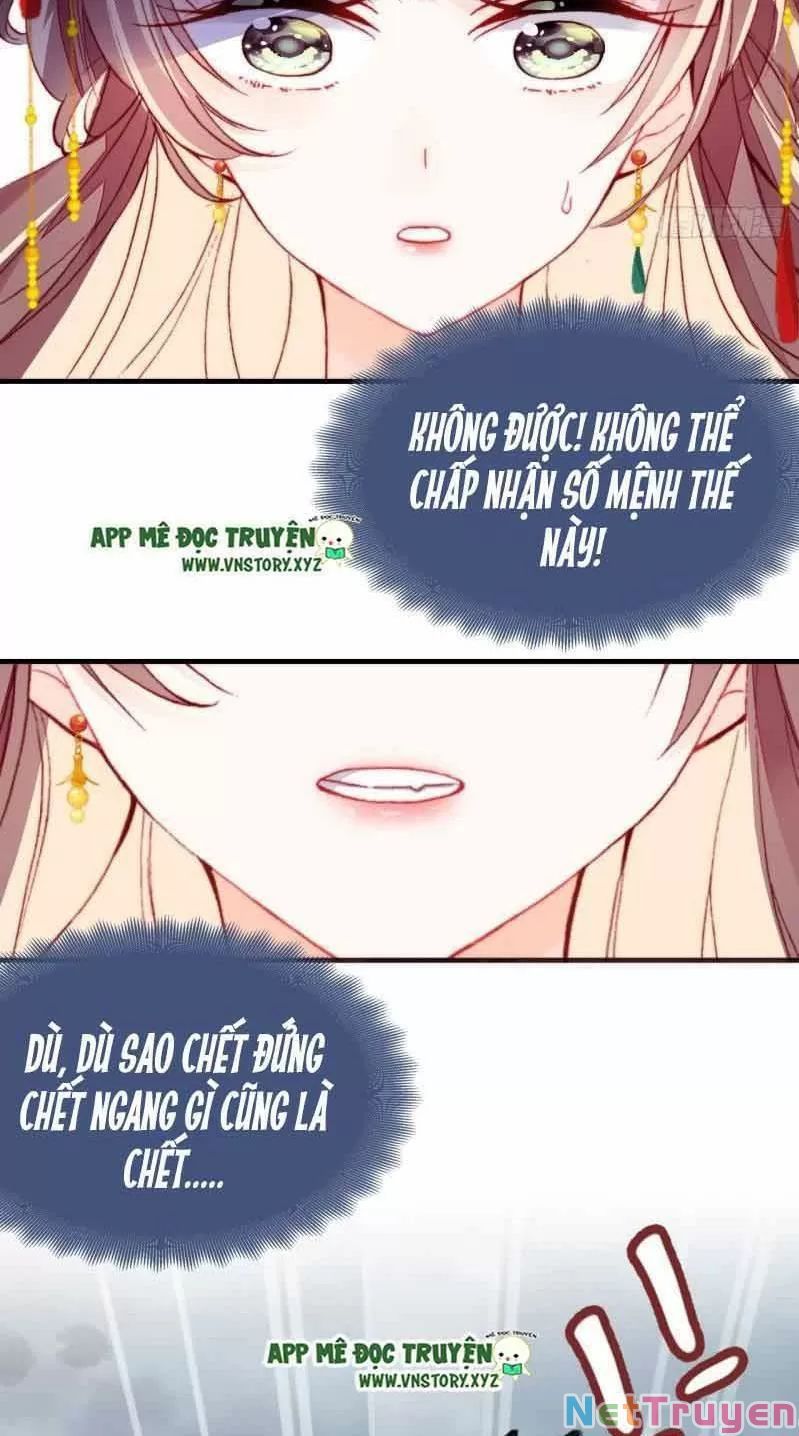 lại bị bệnh chiều chuộng quấn lấy chapter 2 8