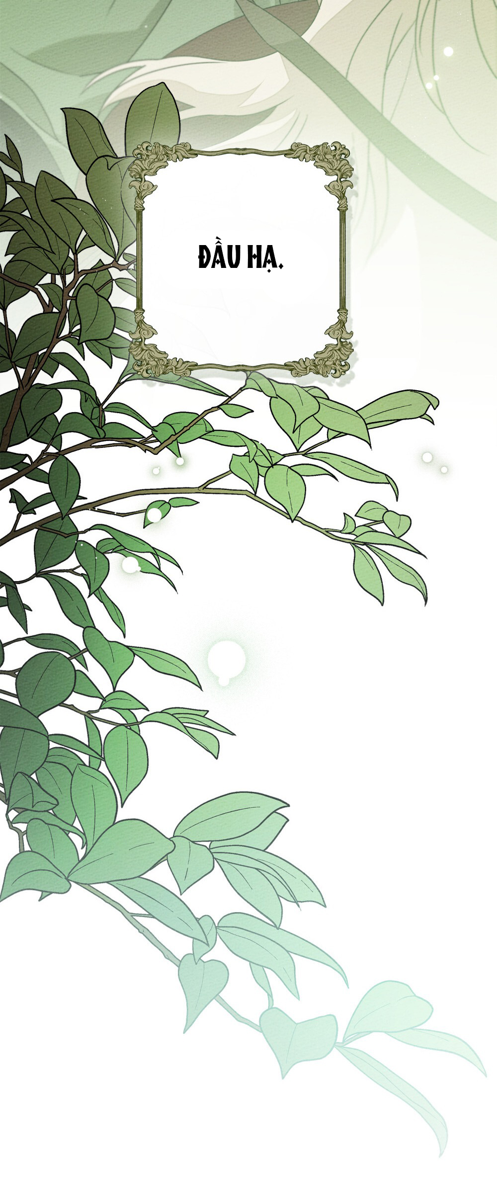 Dưới Bóng Cây Sồi chapter 95.2 END SS3 45