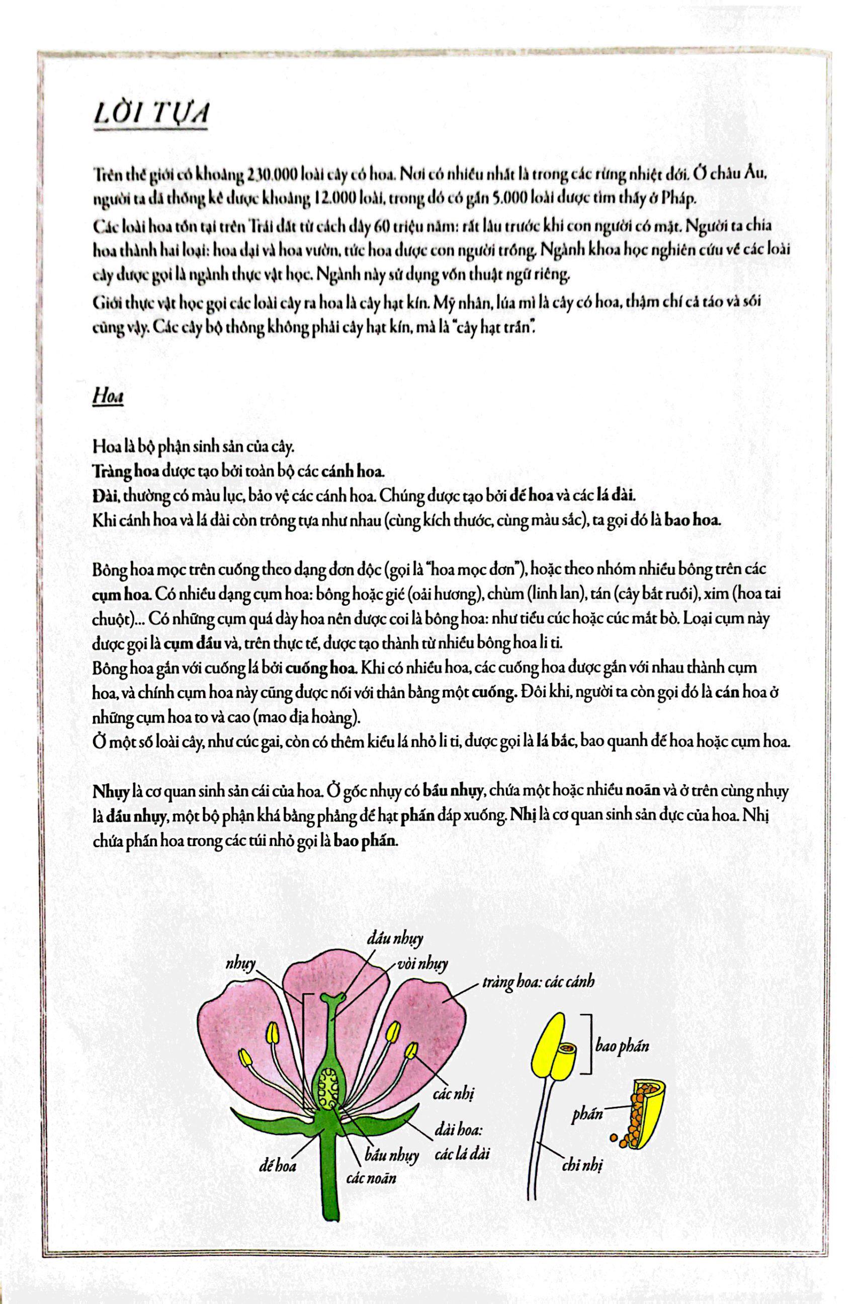 Bách Khoa Thư Cho Cả Nhà - Thế Giới Các Loài Hoa Bằng Tranh