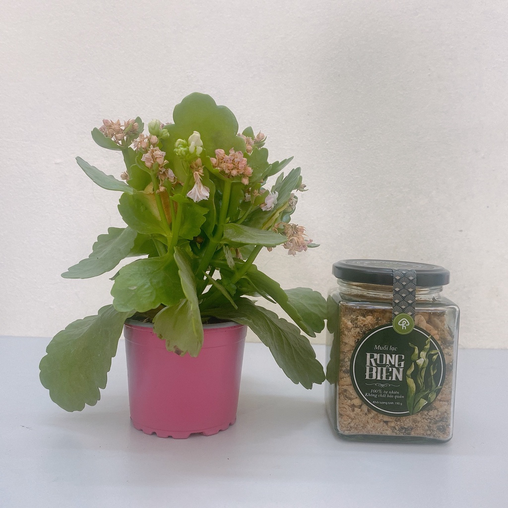 Muối Lạc Rong Biển 190g