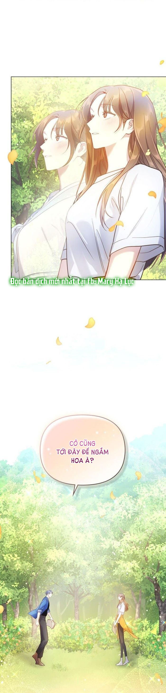 đăng tiêu hoa chapter 26 29
