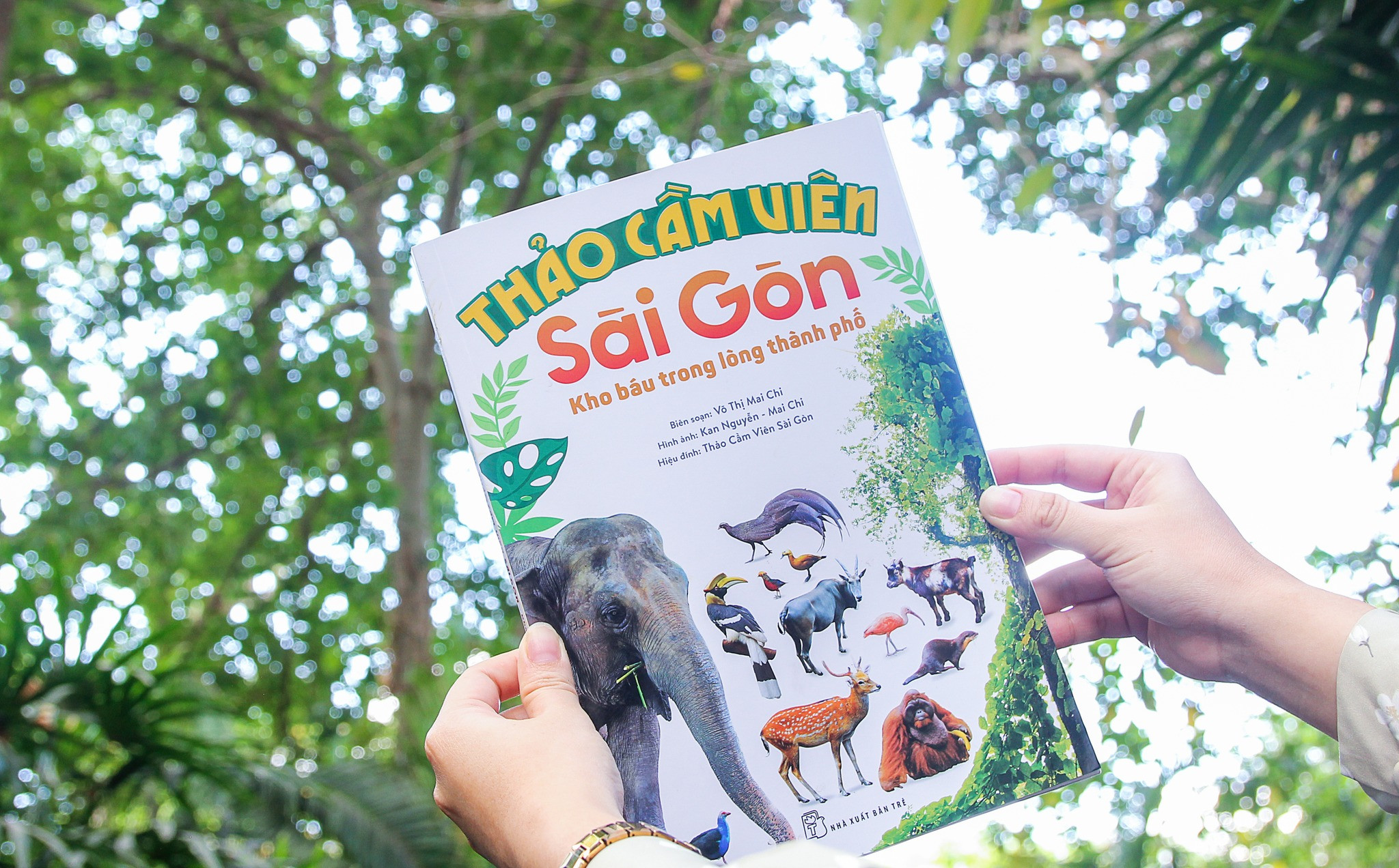 THẢO CẦM VIÊN SÀI GÒN - Kho Báu Trong Lòng Thành Phố (bìa mềm)