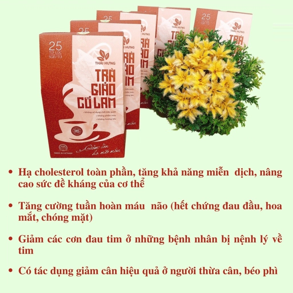 Trà Giảo cổ lam Thái Hưng giảm cân, hạ mỡ máu 25 túi lọc x 5g