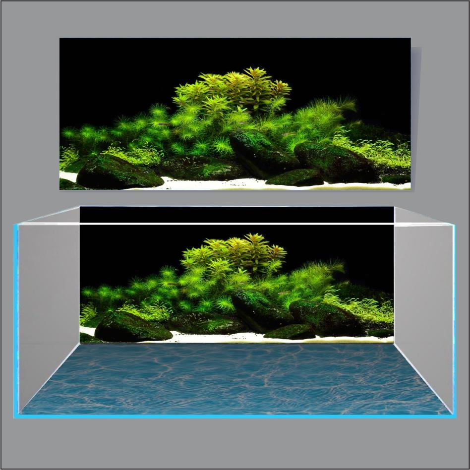 TRANH THỦY SINH DÁN HỒ CÁ 3D NEW DESIGN