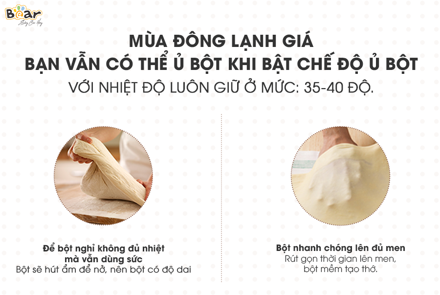 Máy Trộn Ủ Bột, Máy Làm Bánh Mỳ Gia Đình BEAR HMJ-A50B1 Dung Tích 5 Lít Công Suất 200 W - Hàng Nhập Khẩu