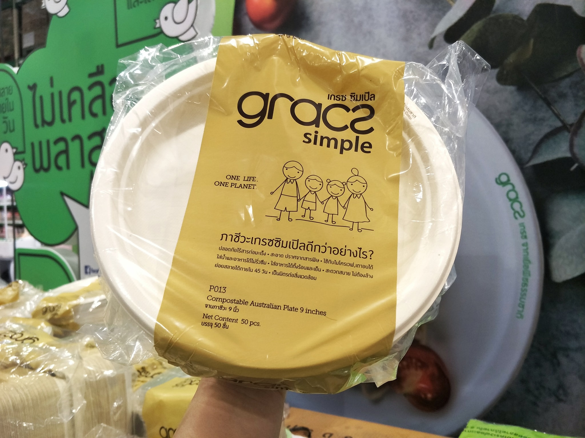 50 đĩa bã mía Gracz Thái Lan 9in