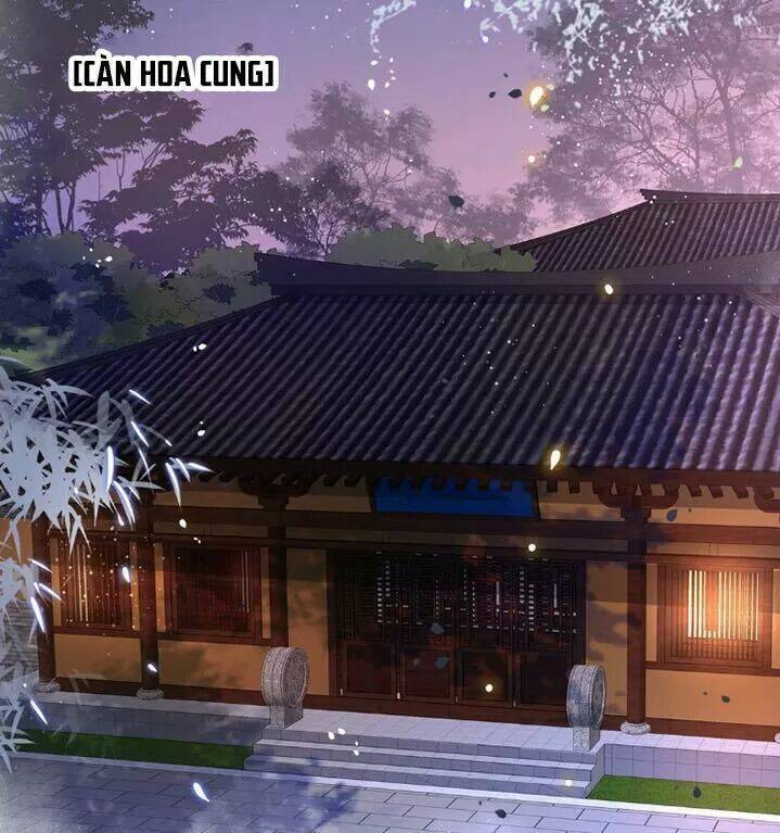 phượng hoàng vu phi chapter 47 22