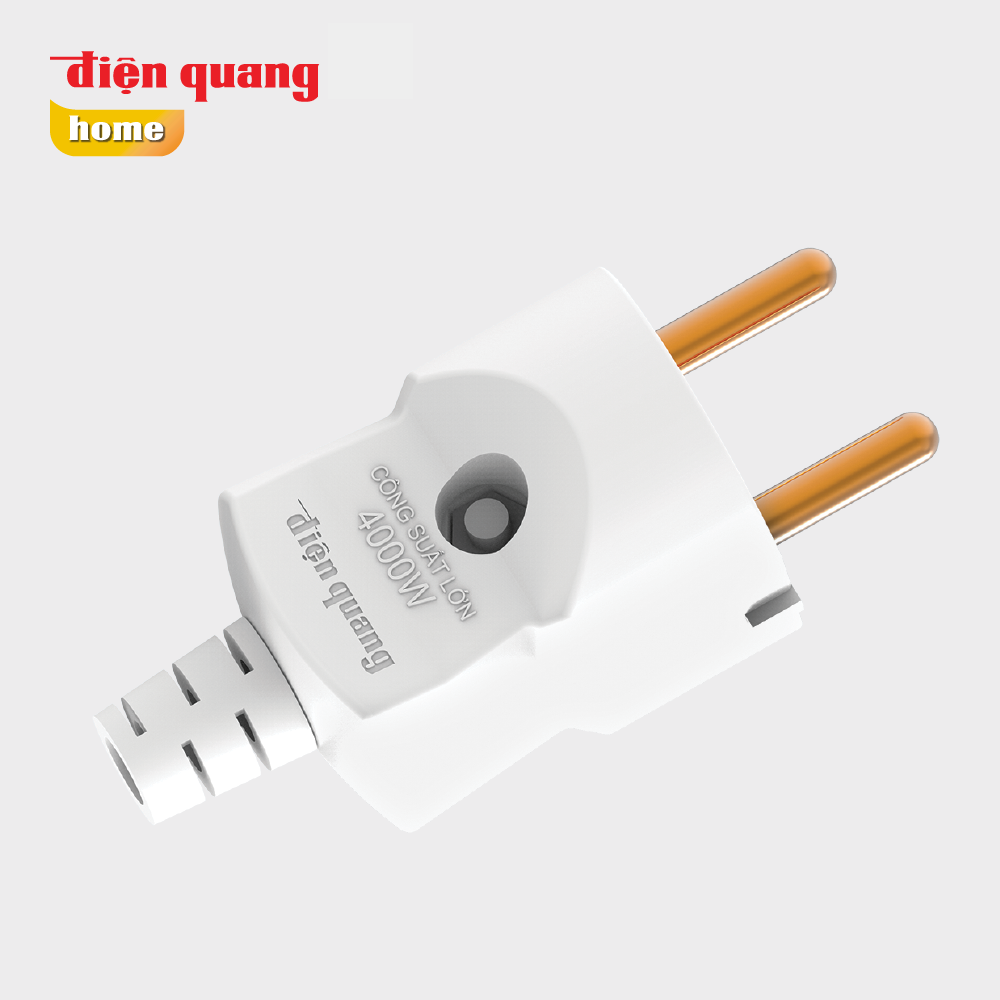 Phích cắm công suất lớn Điện Quang ECO ĐQ EPR HP R.2PN ECO