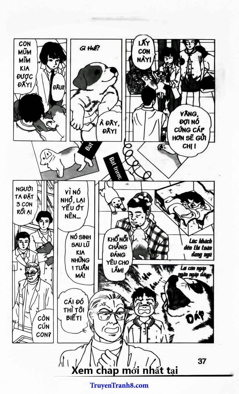 doubutsu no oishasan chapter 73 10