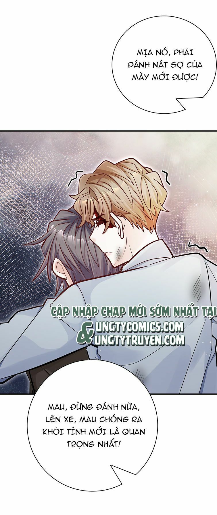 Anh Ấy Sinh Ra Đã Là Công Của Tôi chapter 52