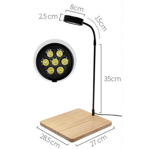 Đèn đế gỗ nhiều công suất dùng cho bể Terrarium, bán cạn, thủy sinh nhiệt độ màu 6000-6500K