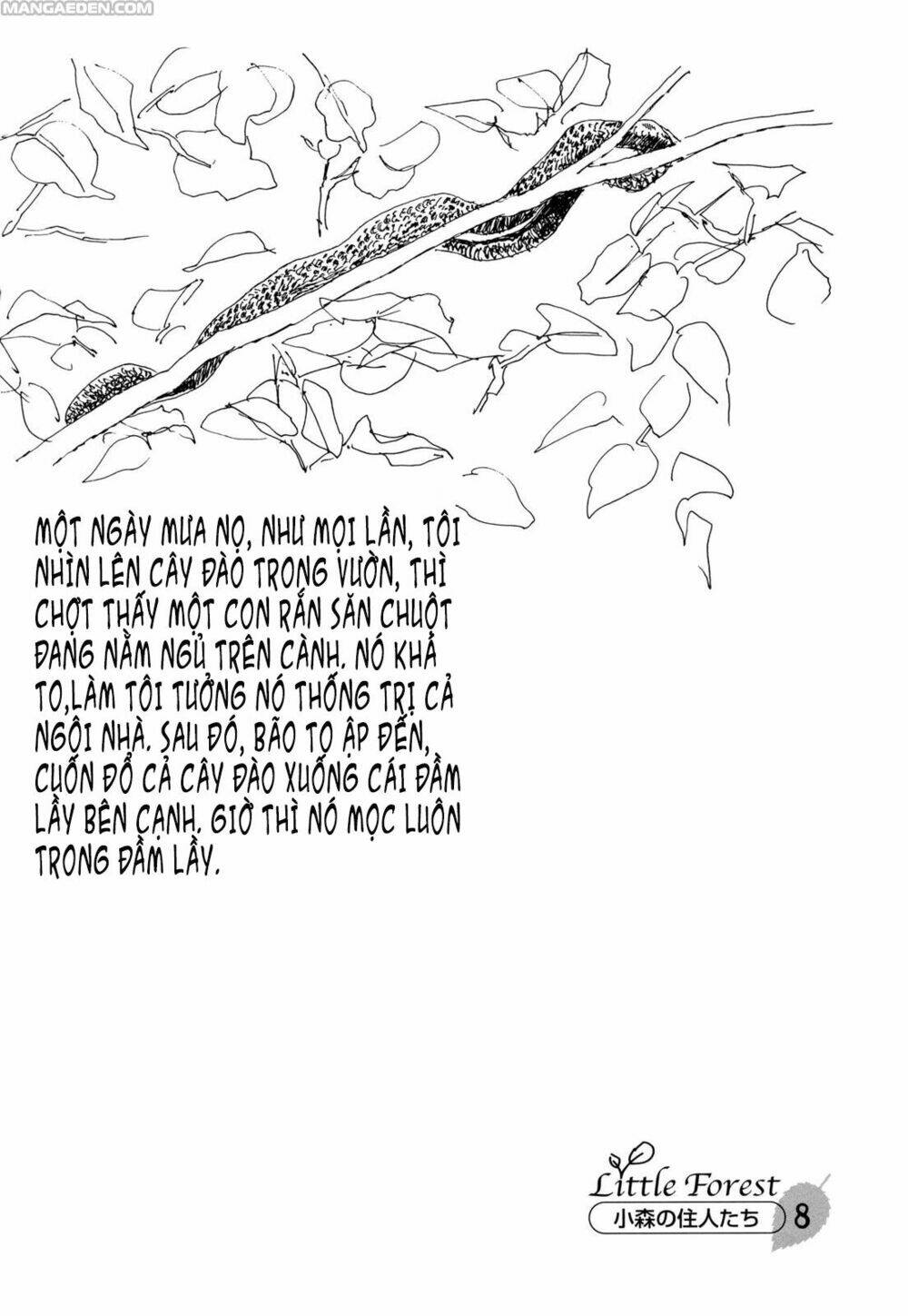 little forest chapter 8 10
