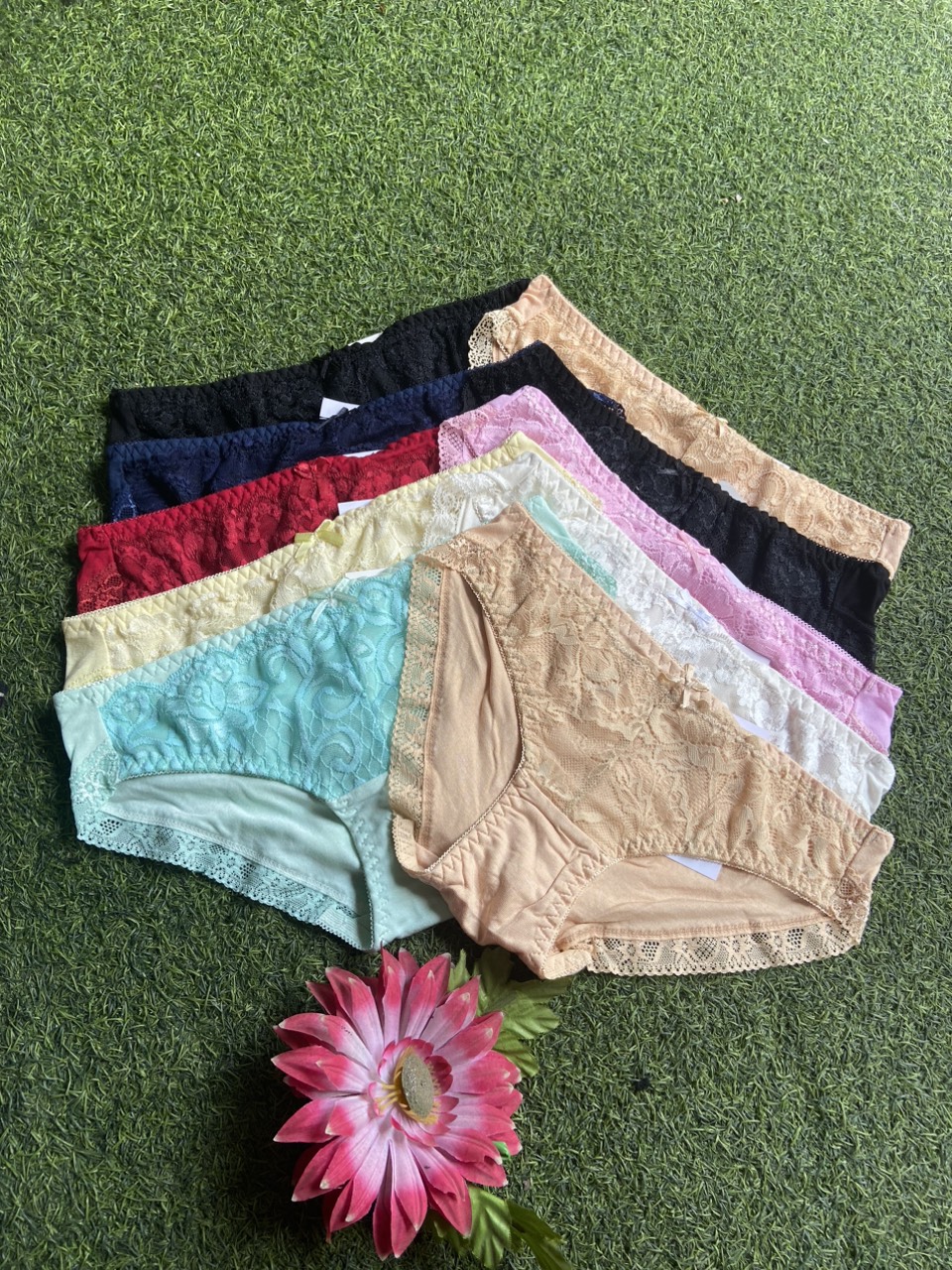 Combo 10 Quần Lót Nữ Cotton Ren Đùi Size M từ 45 - 48kg tùy chiều cao
