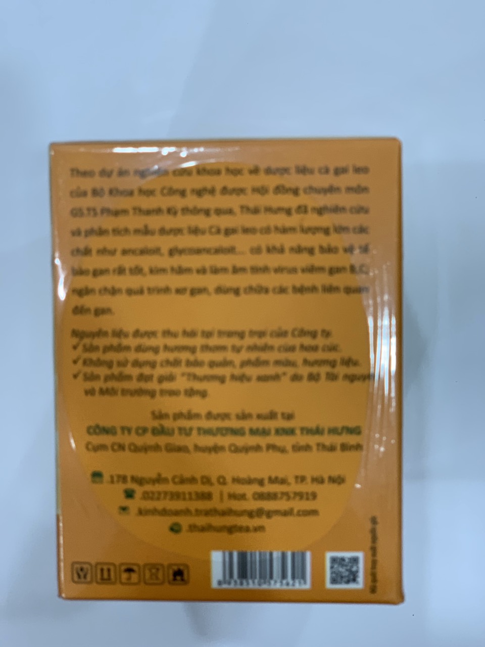 Combo 10 Hộp Trà thảo dược cao cấp Thái Hưng: CÀ GAI LEO