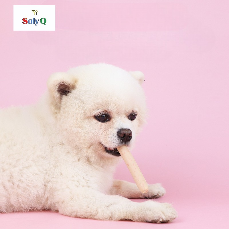 Xúc xích cao cấp 5 vị cho chó mèo 75 cây Saly Q PF11TK