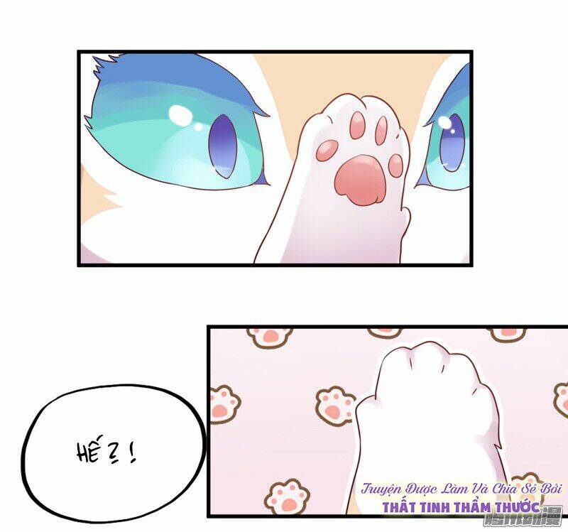 giữ chặt tiểu bạch long chapter 22 13
