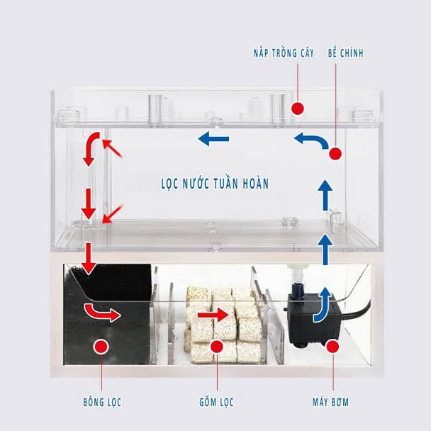 Bể cá mini thủy sinh trang trí bàn làm việc