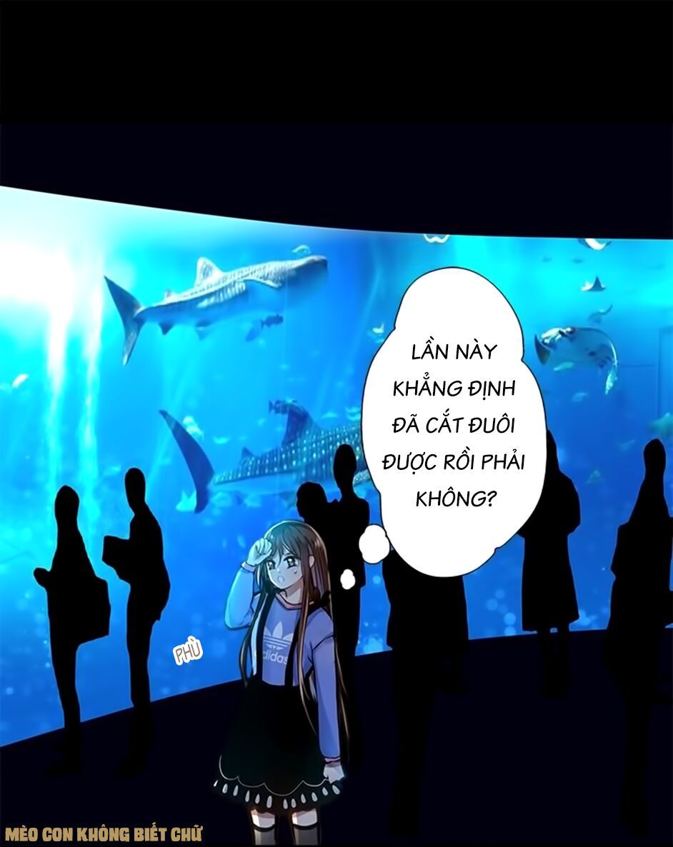 không có ssr làm sao để yêu chapter 6 8