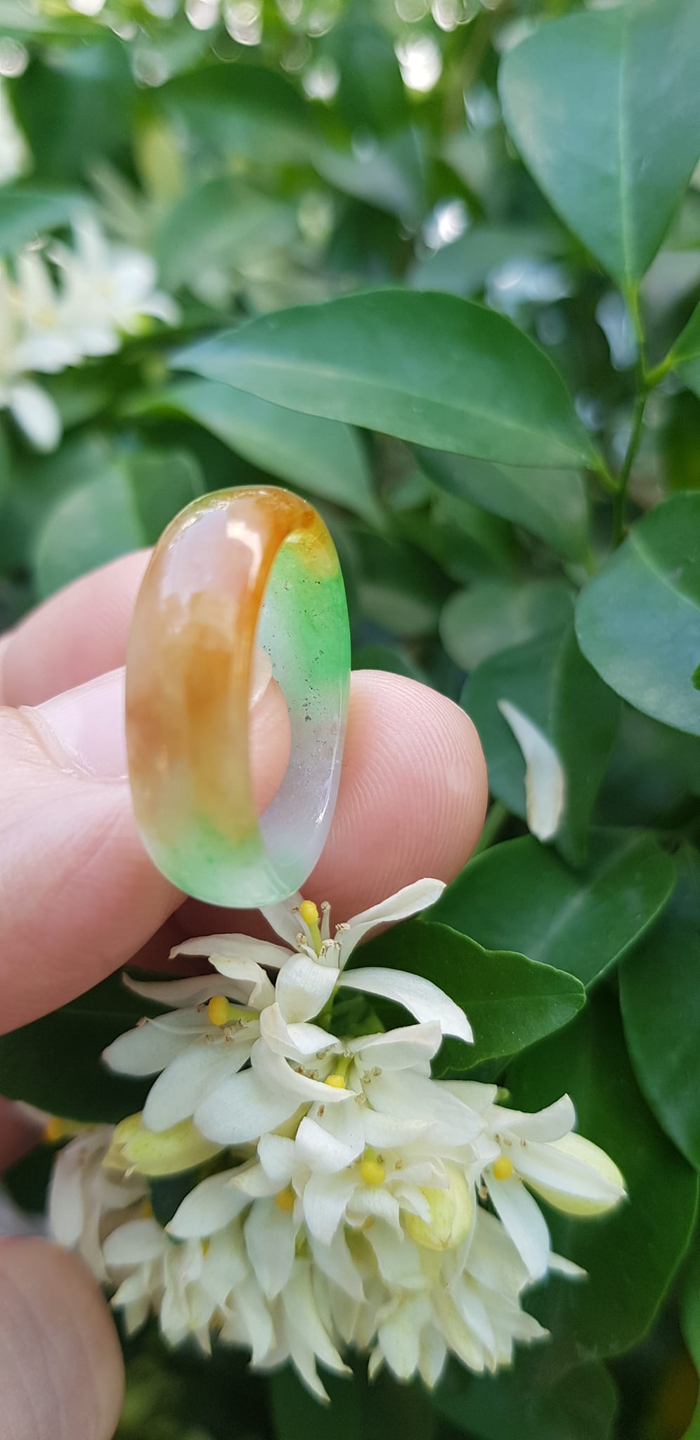 Nhẫn đeo tay nữ đá cẩm thạch tự nhiên Màu Vàng xanh trắng bóng đẹp Nhẫn Ni 17mm x cao 6mm x dầy 2,2mm ạ