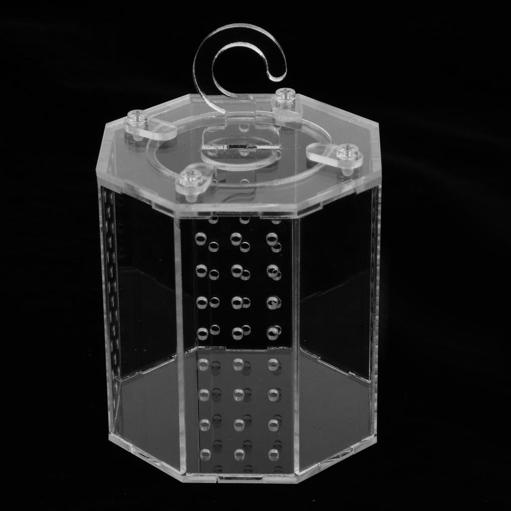 Spider Insect Reptile Tank Vivarium Cage Box Clear Acrylic Terrarium