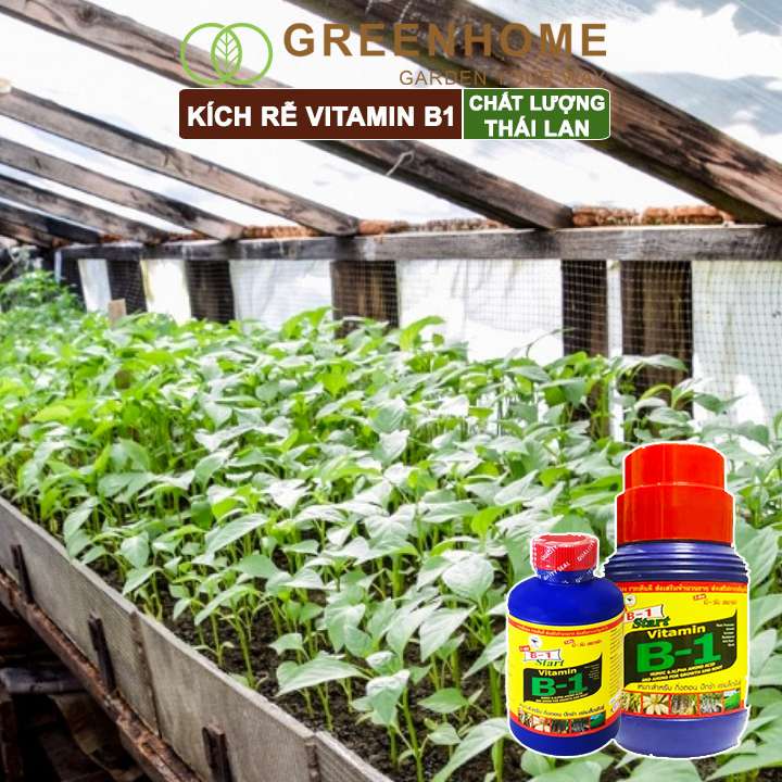 Phân kích rễ Greenhome, b1, chai 100ml, tạo mầm, rễ khoẻ, sai hoa