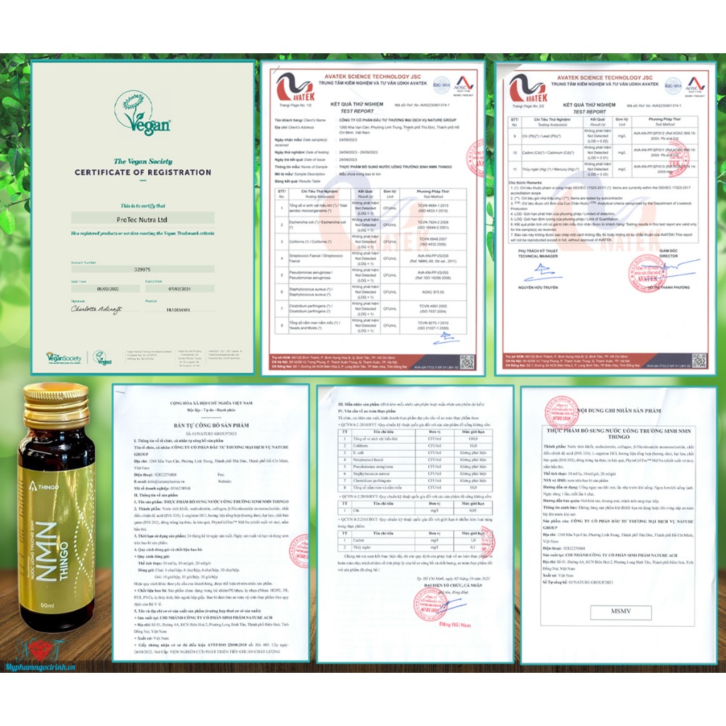 Combo 3 SET Nước Uống NMN Thingo + Tặng Cốc NMN hoặc Túi NMN cao cấp chính hãng