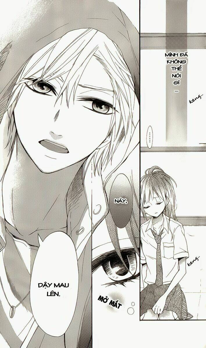 k9-jinja no mori no nora neko-kun chapter 1 8