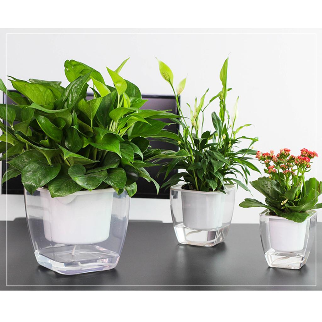 Transparent Flower Self-watering Planter Flower Basket