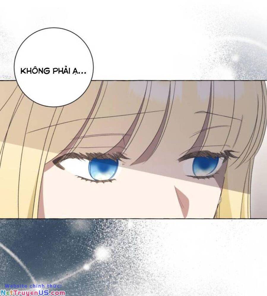 tôi tưởng đó chỉ là tiểu thuyết trọng sinh bình thường chapter 41 54