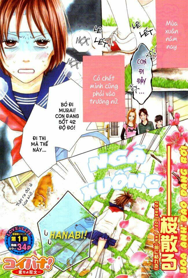 koibana! - koiseyo hanabi chapter 1 5