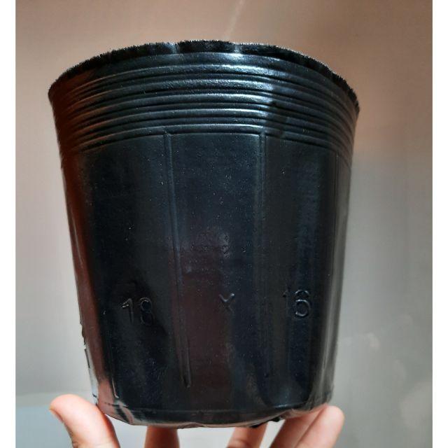 1kg chậu nhựa dẻo ươm cây 18x16