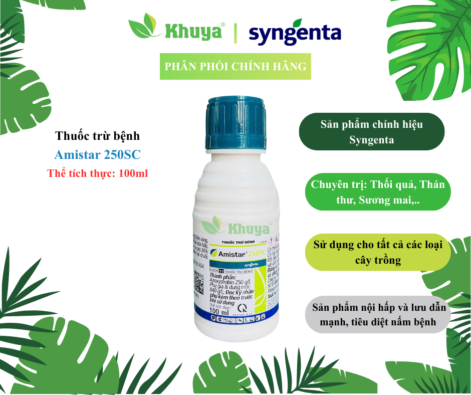 Thuốc trừ bệnh Amistar 250SC 100ml chính hãng Syngenta