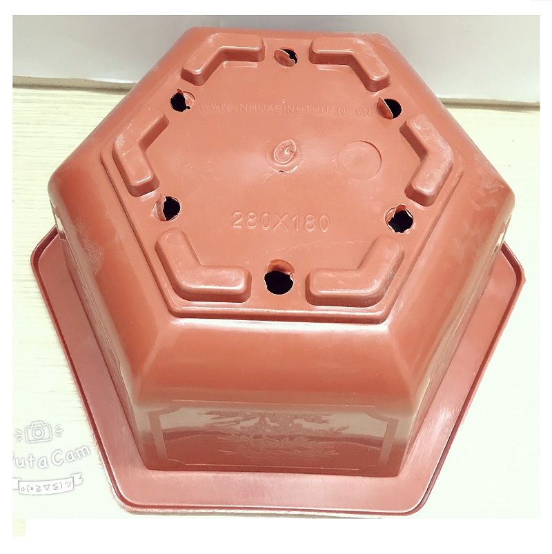 5 Chậu Nhựa Lục Giác Trồng Hoa, Cây Cảnh Bonsai 280x180