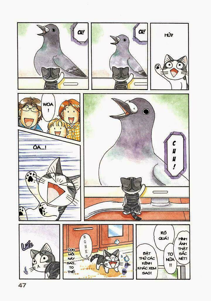 chi's sweet home chapter 116 5