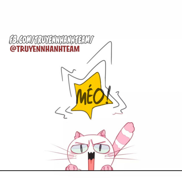 xã hội mèo chapter 1 51