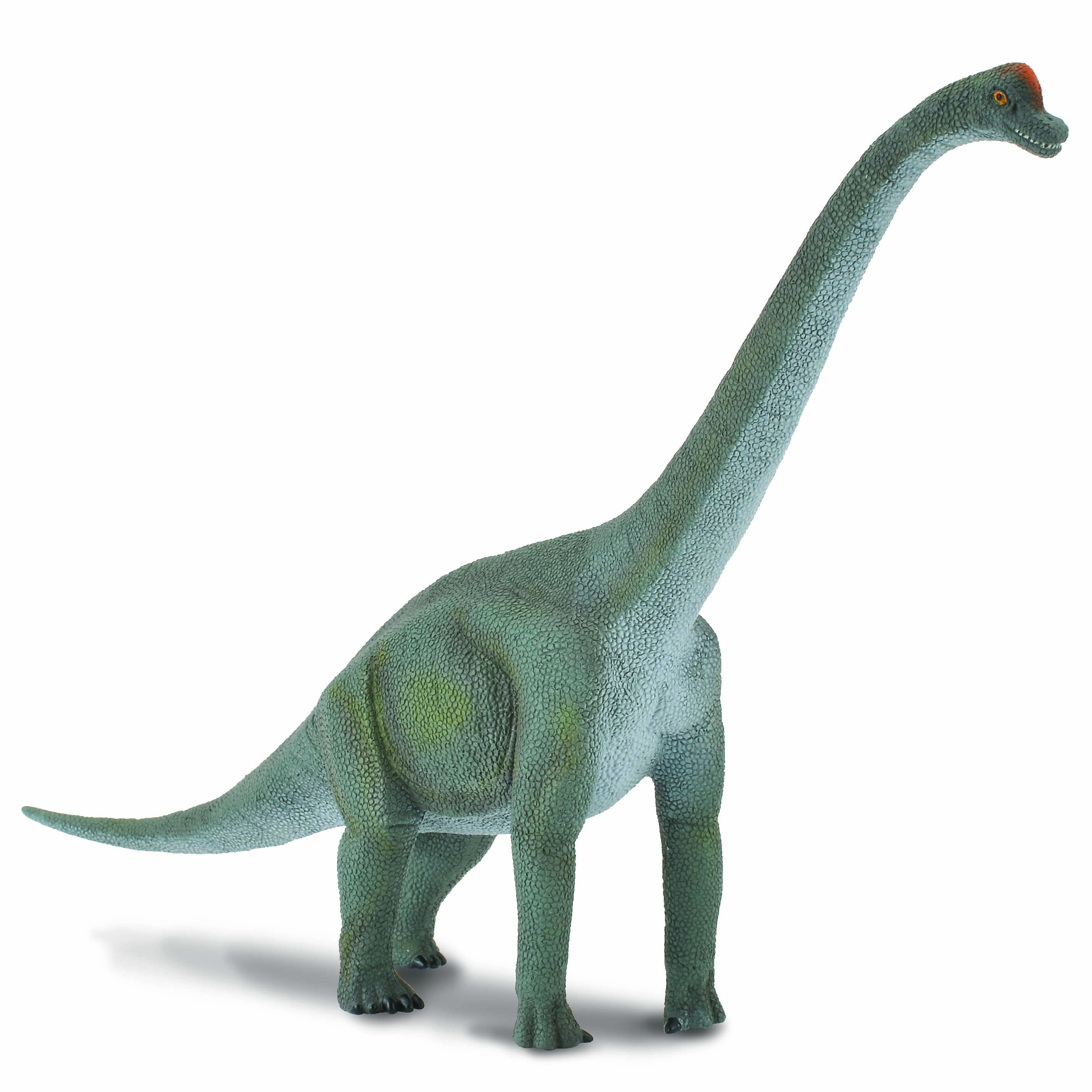 Mô hình thu nhỏ: Khủng Long Brachiosaurus  - Brachiosaurus, hiệu: CollectA, mã HS 9654120[88121] -  Chất liệu an toàn cho trẻ - Hàng chính hãng