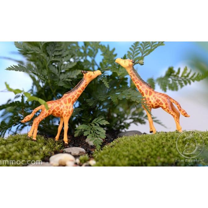 Mô Hình Hươu Cao Cổ Trang Trí Hồ Cá Cảnh / Trang Trí Bể Bán Cạn / Tiểu Cảnh Sen Đá, Xương Rồng