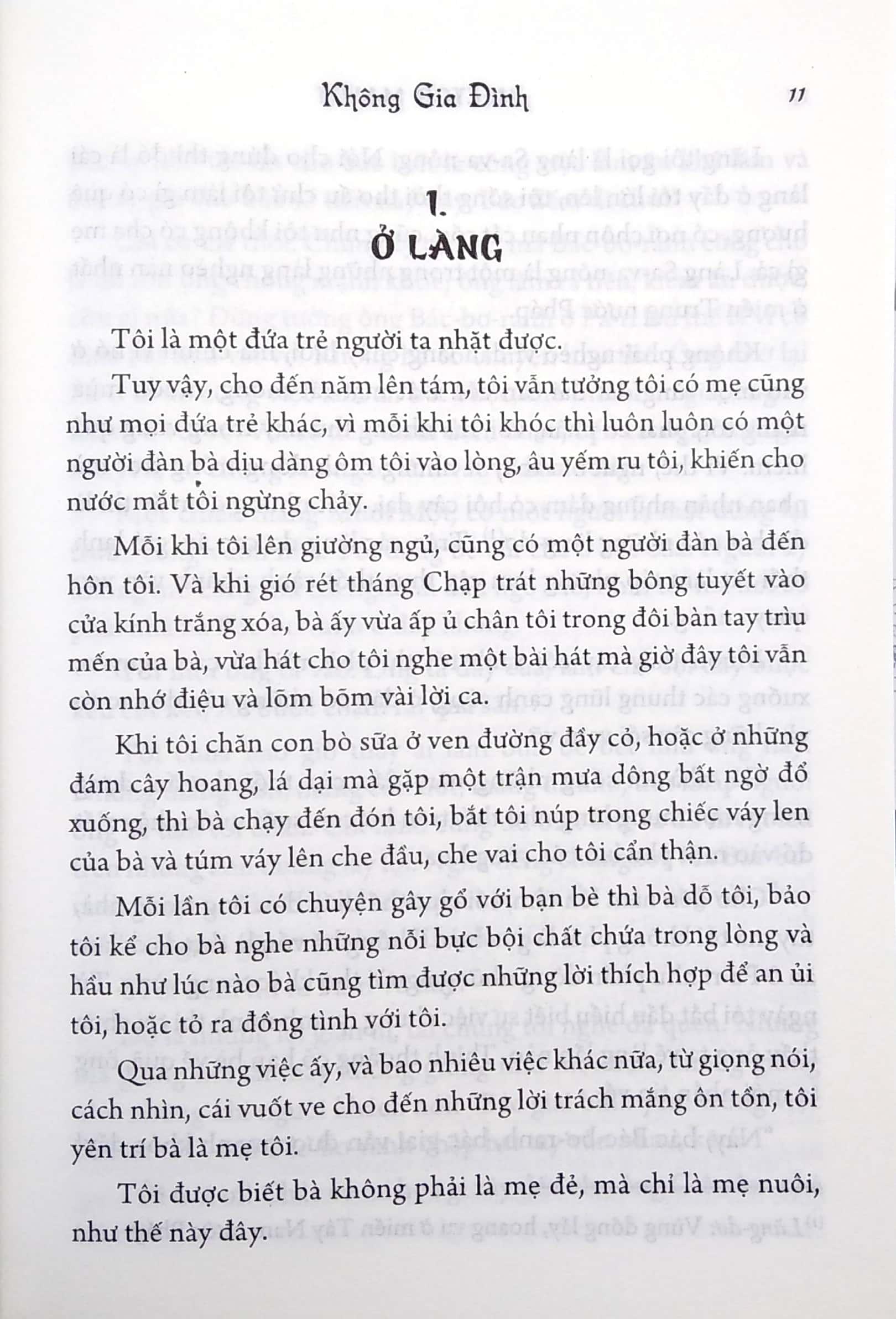 Không Gia Đình (Bìa Cứng) (Tái Bản 2022)