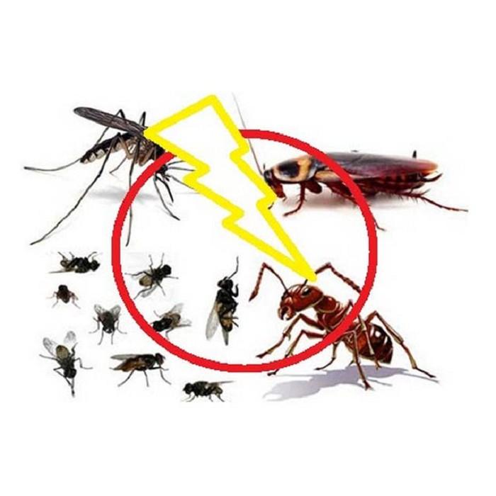 Thuốc diệt côn trùng ruồi,muỗi Fendona 10SC chai 50ml
