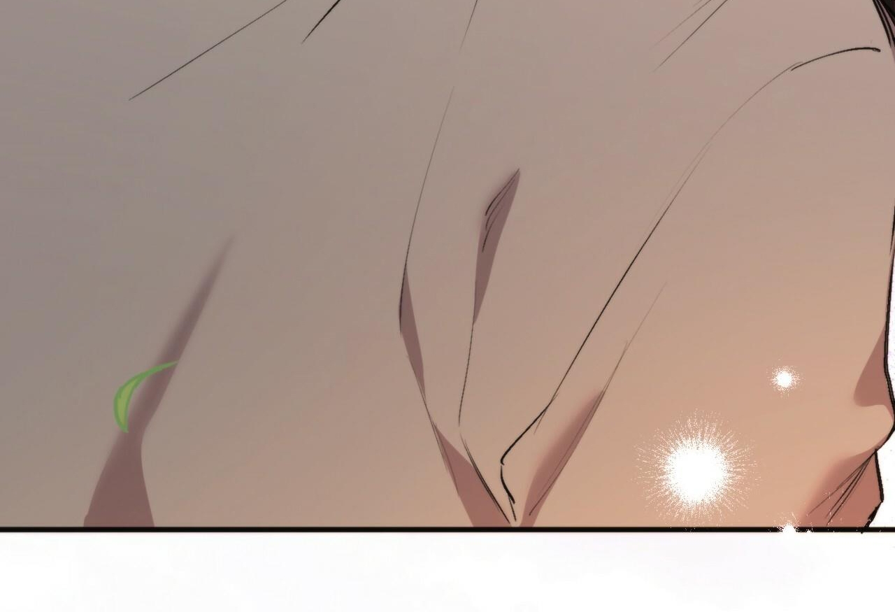 đàn thỏ của habibi chapter 32 82