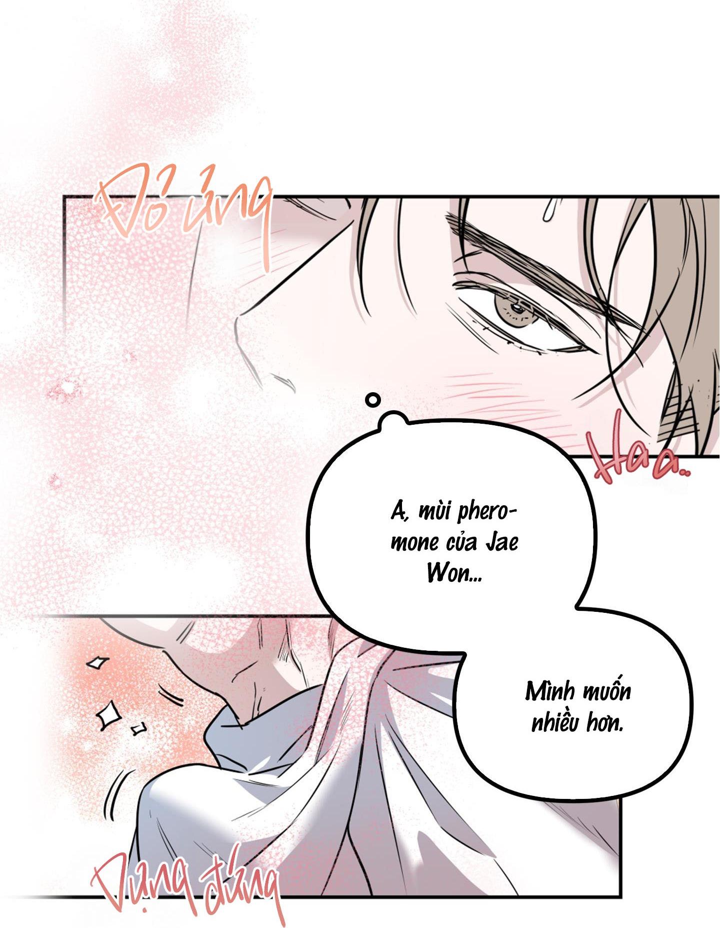 alpha mặt hàng không thể trả chapter 1 77