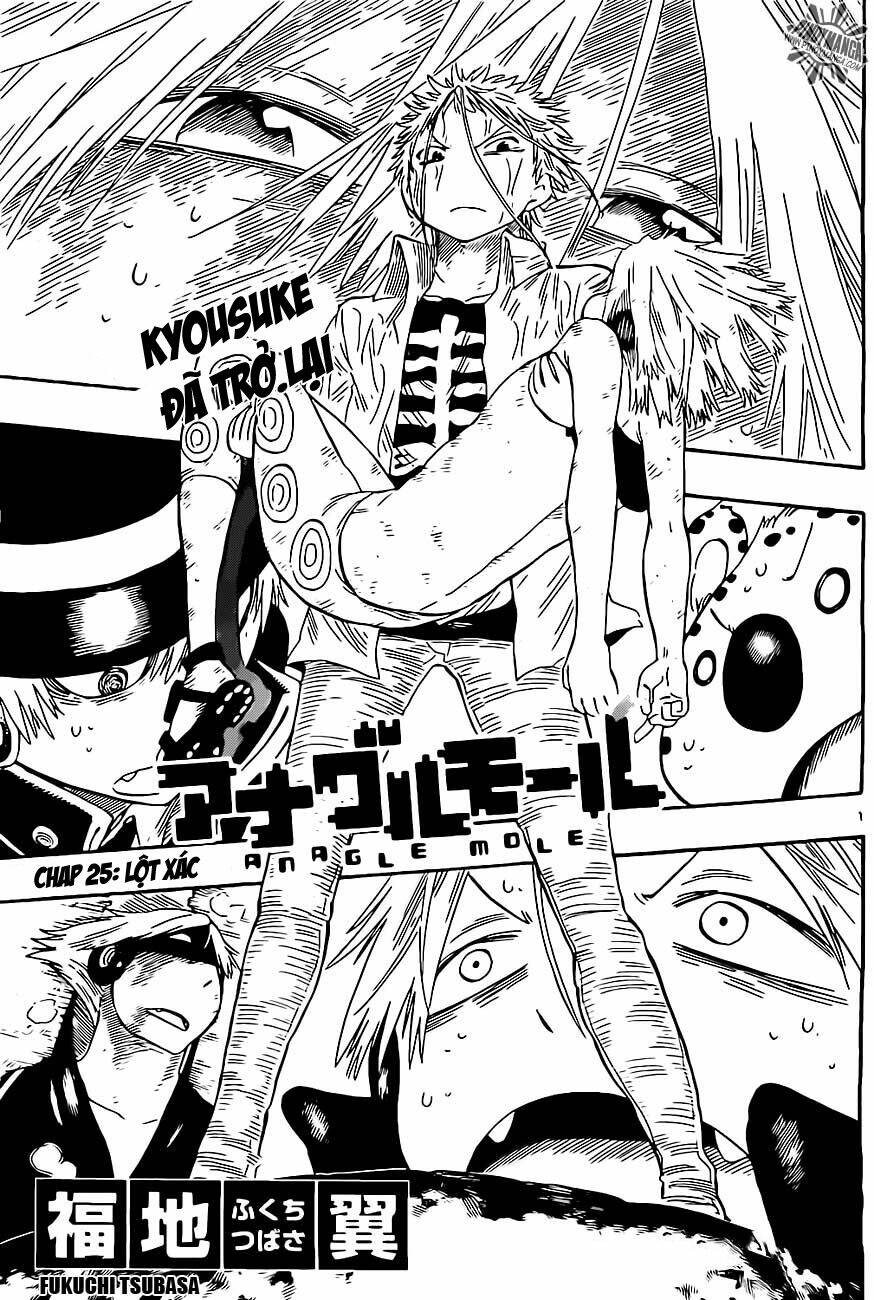 anagle mole chapter 25 2