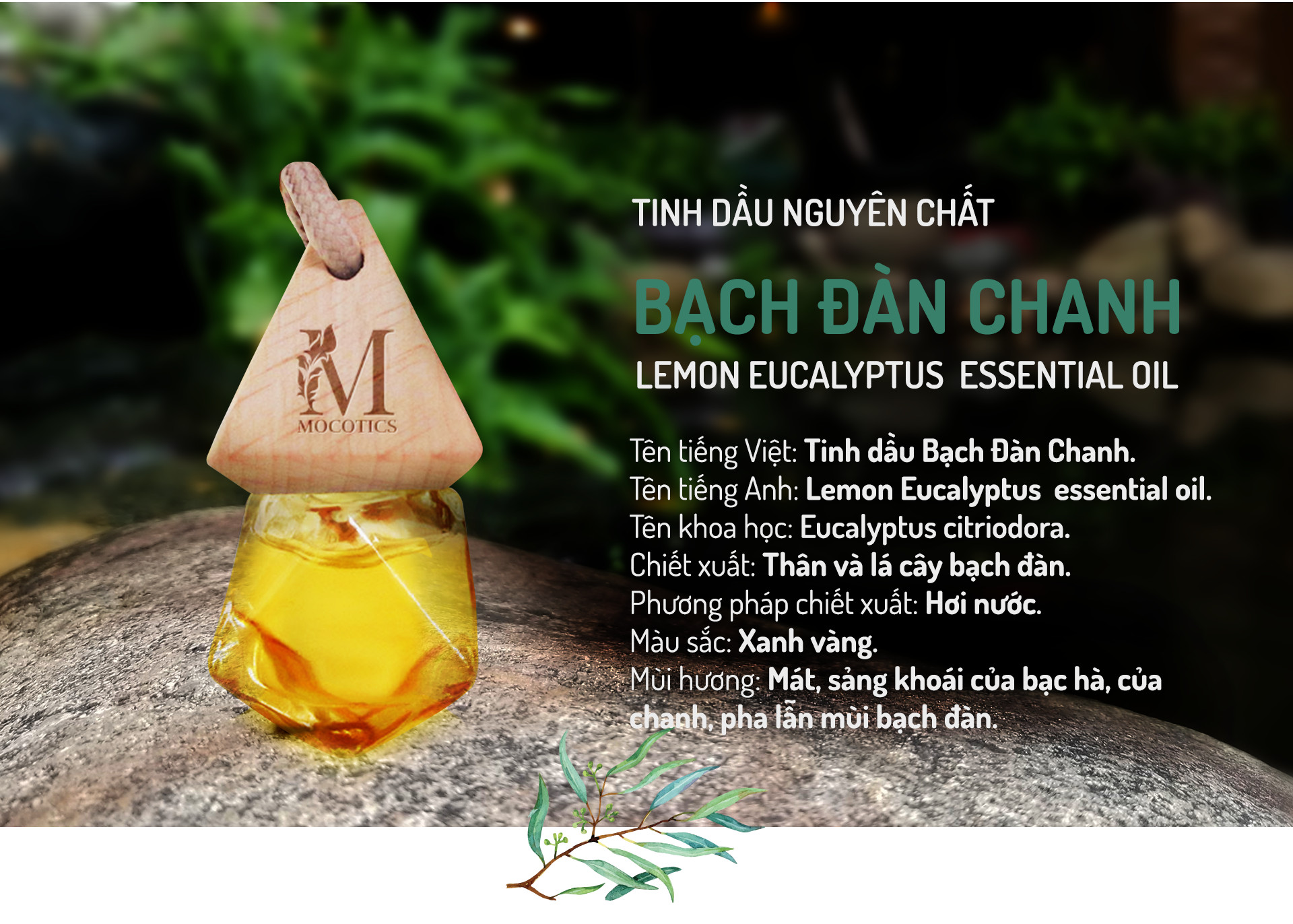 Tinh Dầu Bạch Đàn Chanh Treo Xe Ô tô MOCOTICS, Treo Tủ Quần Áo, Giúp Khử Mùi, Thơm Phòng, Chống Say Xe Hiệu Quả