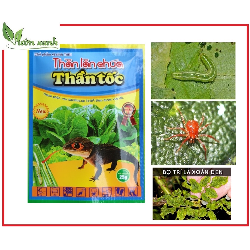 Chế phẩm vi sinh phòng trừ sâu xanh hại rau cải, sâu ăn lá hiệu quả cao, an toàn sử dụng Thằn lằn chúa