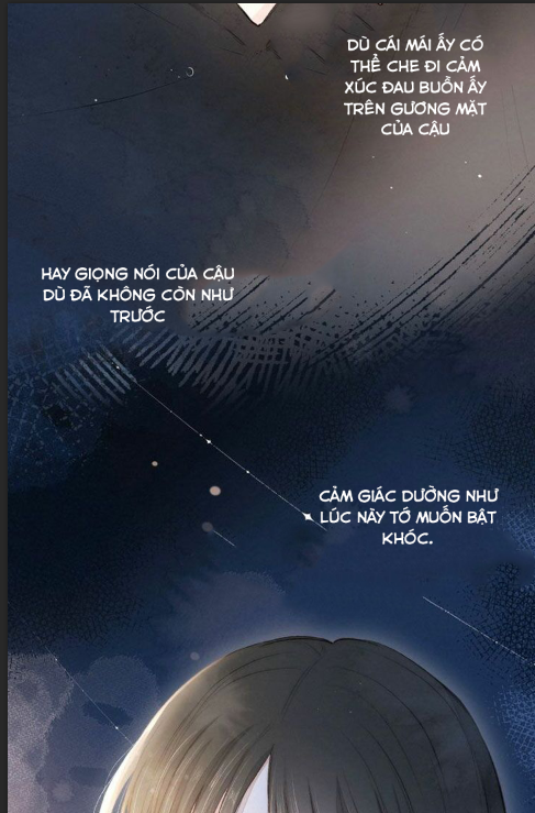 nỗi buồn của hoa cẩm tú cầu chapter 21 29