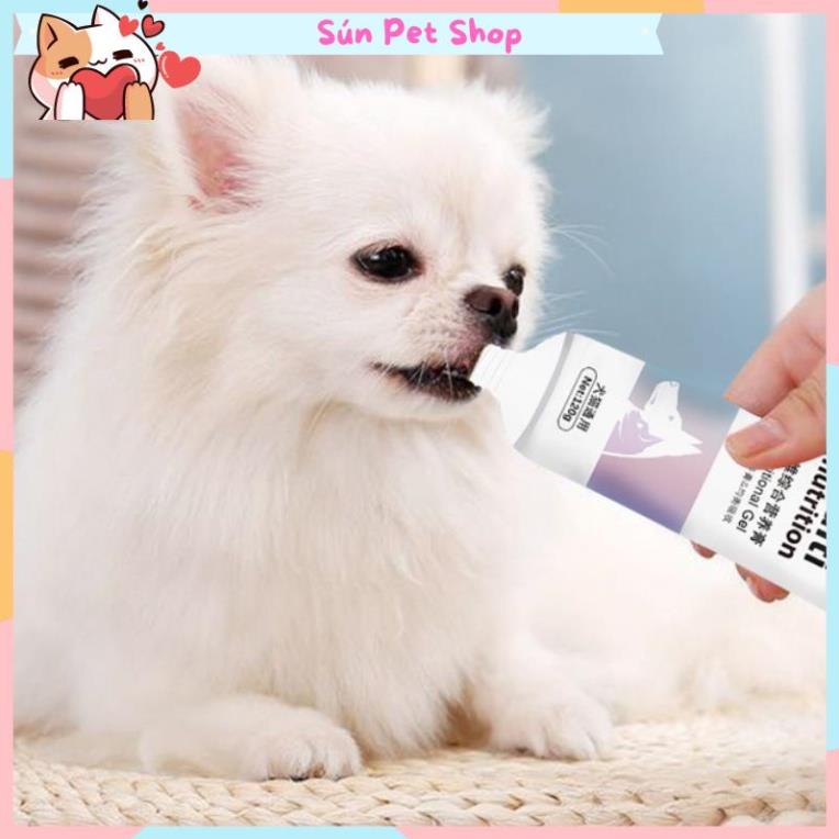 Gel dinh dưỡng cho chó mèo Dorrikey bổ sung dinh dưỡng, tăng sức đề kháng