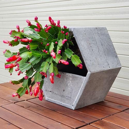 Set 3 chậu hoa lục giác để bàn bằng đá ong xám tự nhiên