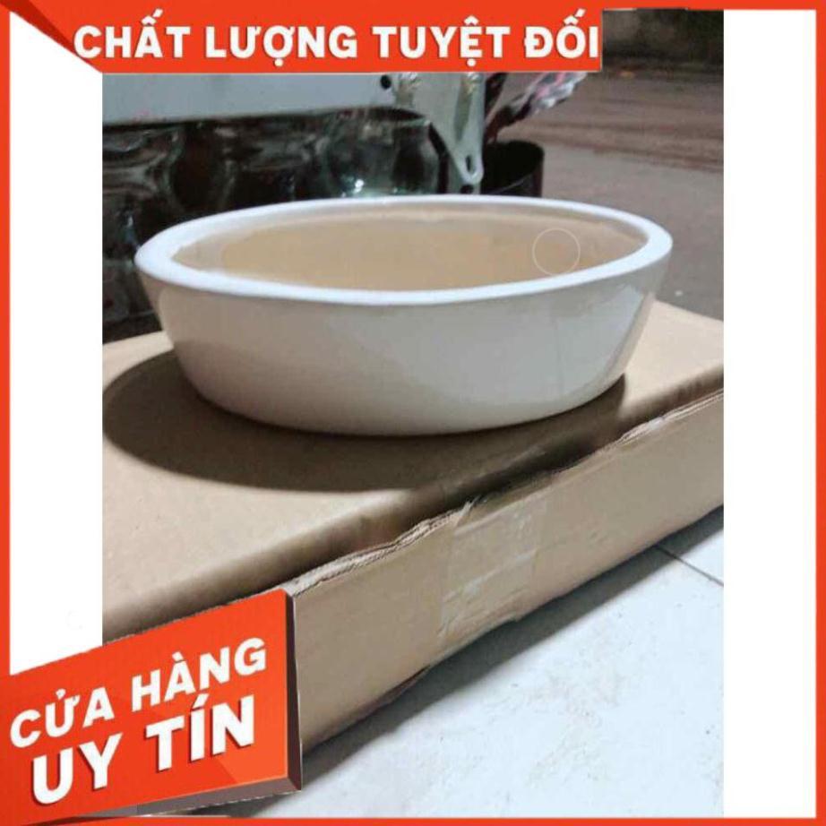 Chậu Trồng Cây Nhiều Người Mua