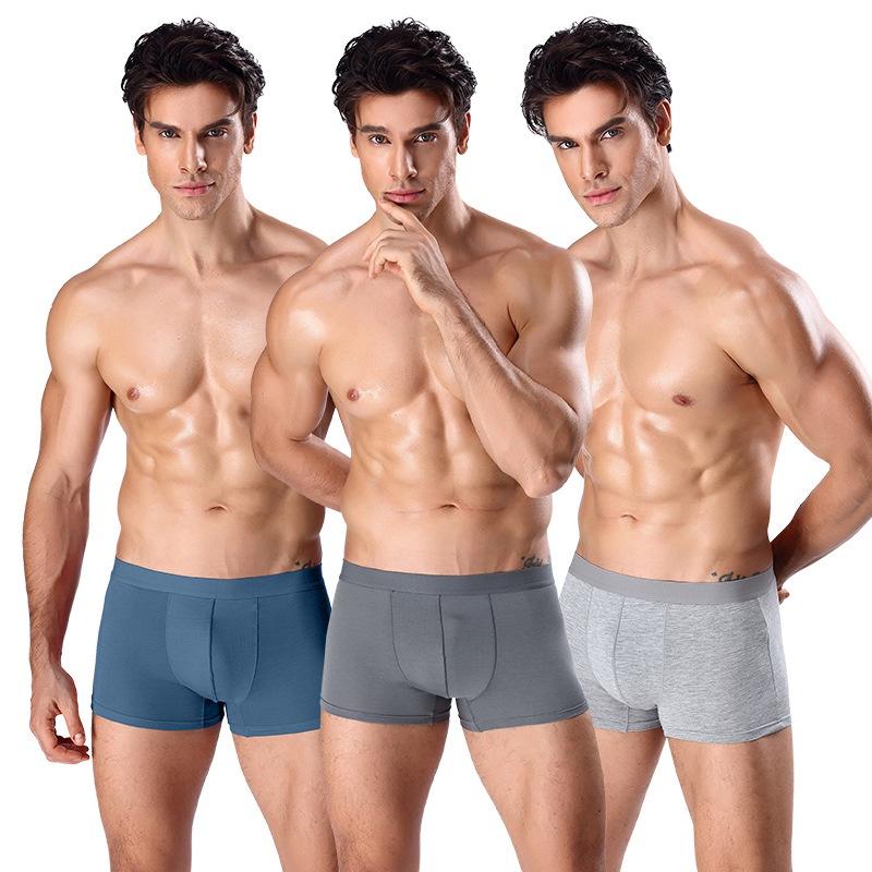 Quần lót cotton nam cao cấp co giãn thoáng khí QN02