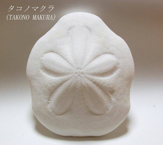 sorairo kaigan chapter 3 28